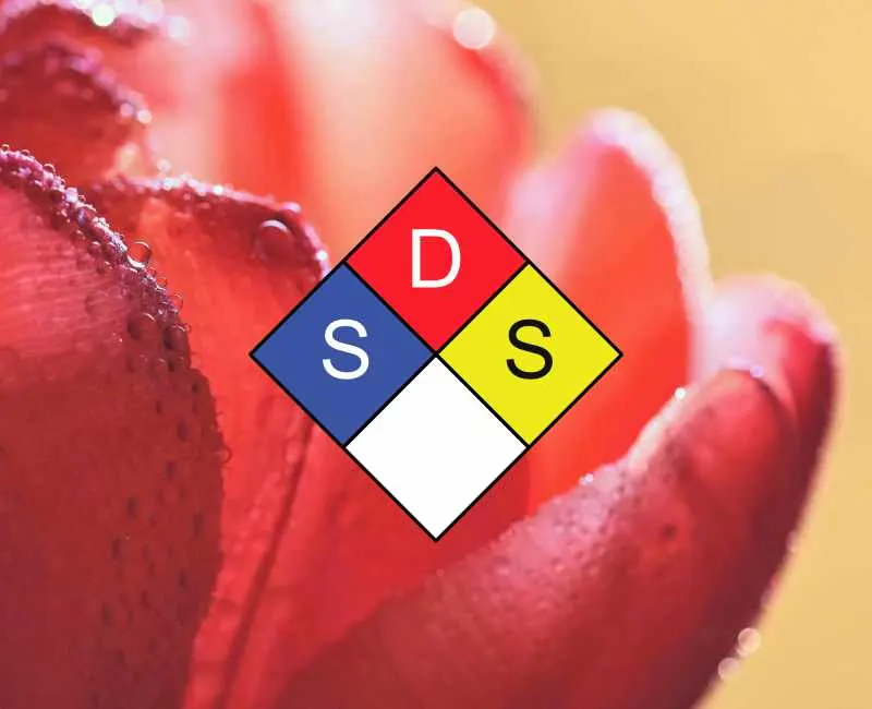 SDS