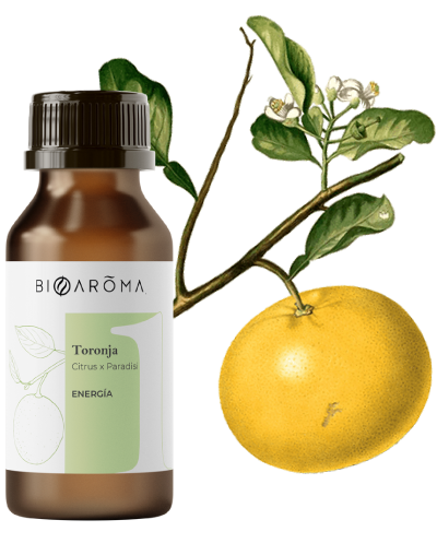 10-Aceite-Toronja