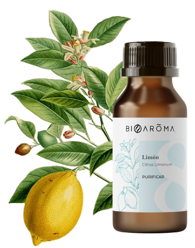 11-Aceite-Limón