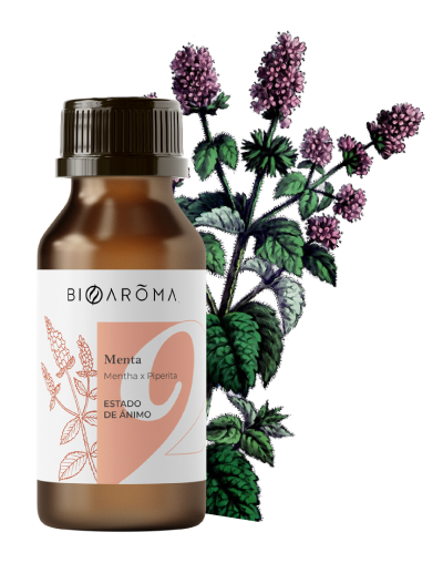 4-Aceite-Menta
