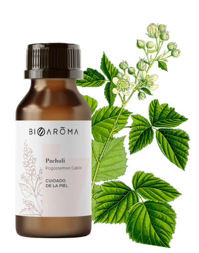 6-Aceite-Pachuli