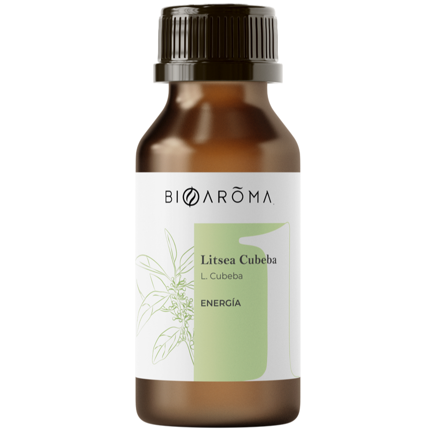 litsea-cubeba-21