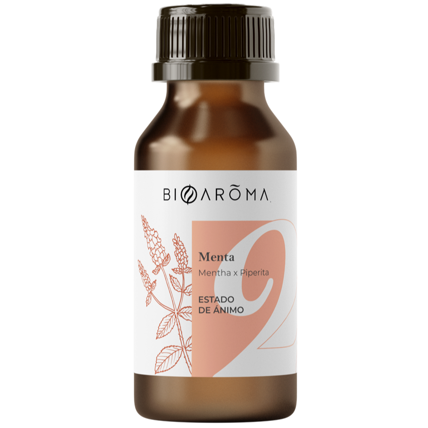 menta-24